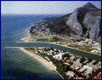 OMIS 